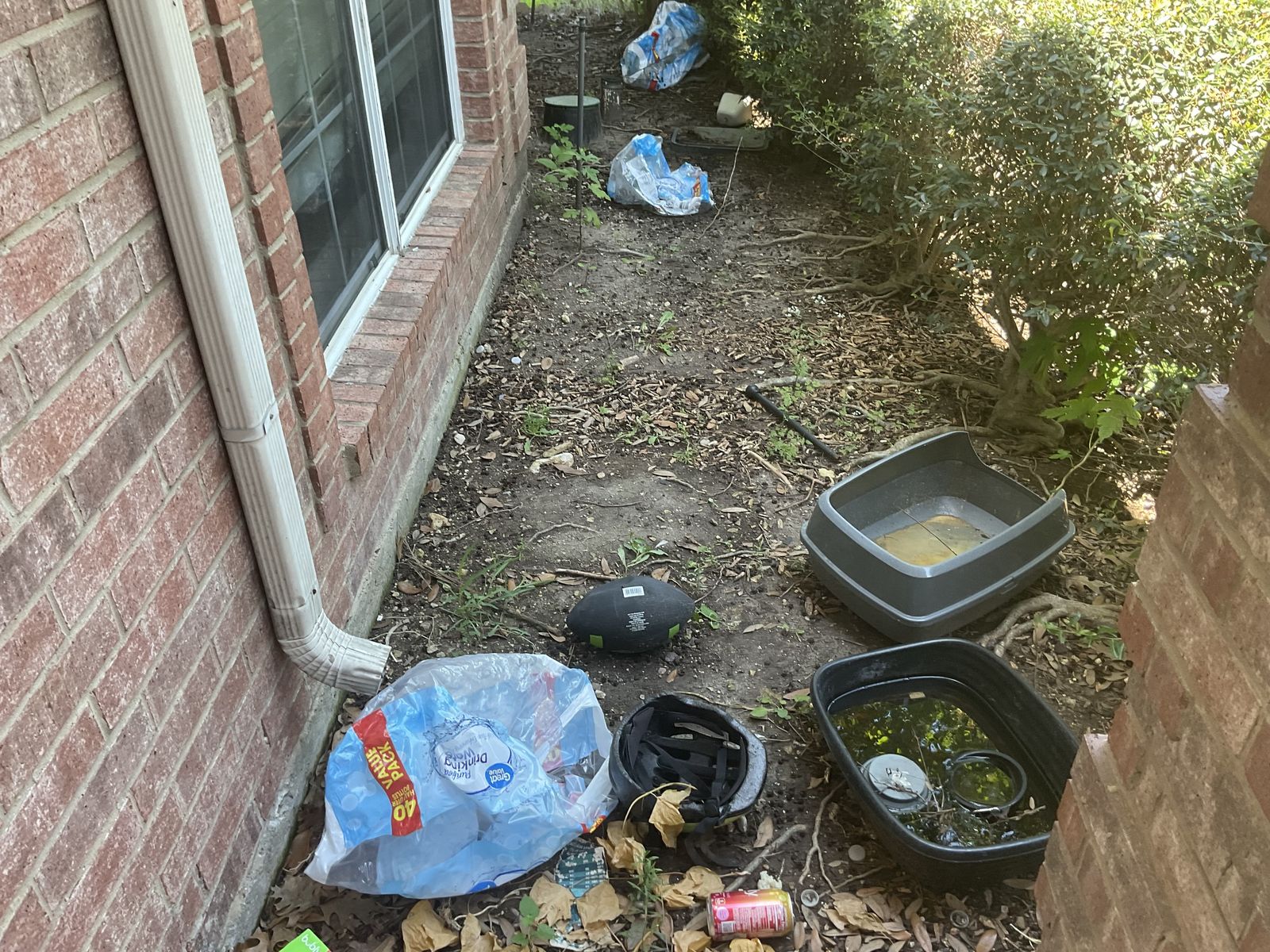 Yard debris removal