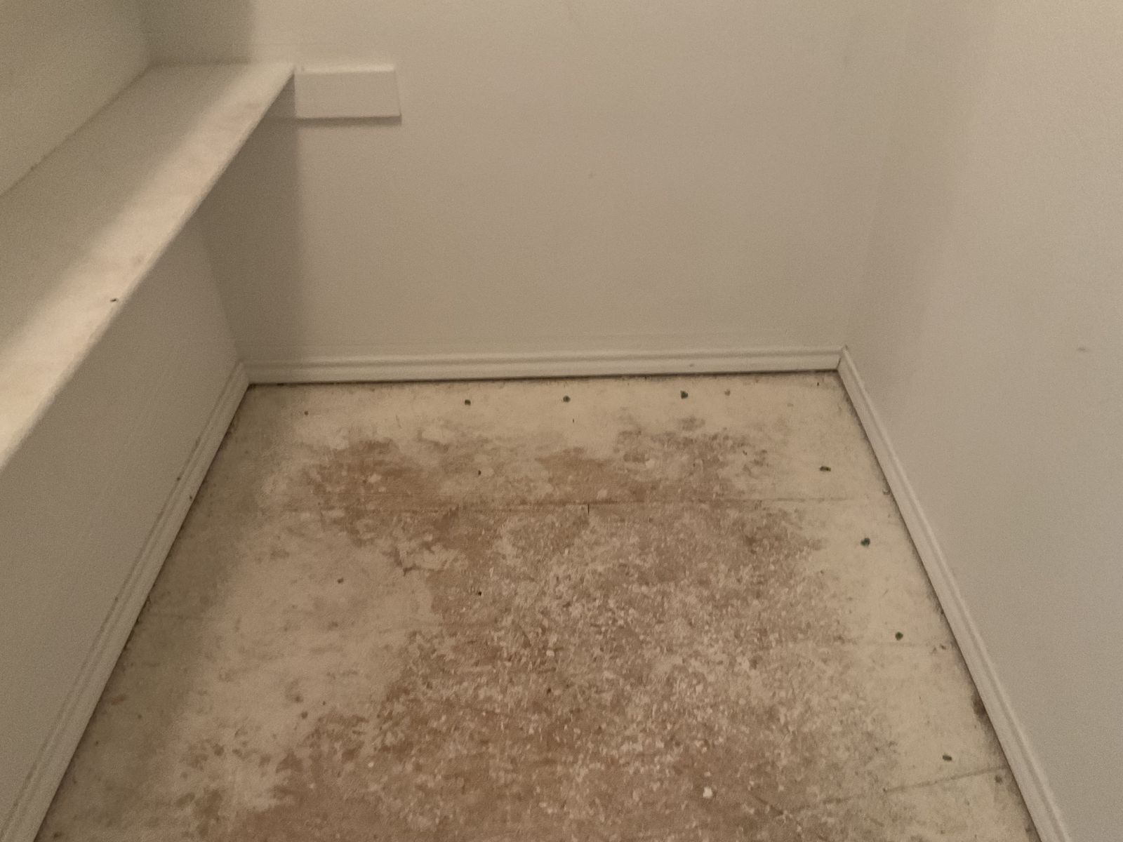 Before: stained carpet