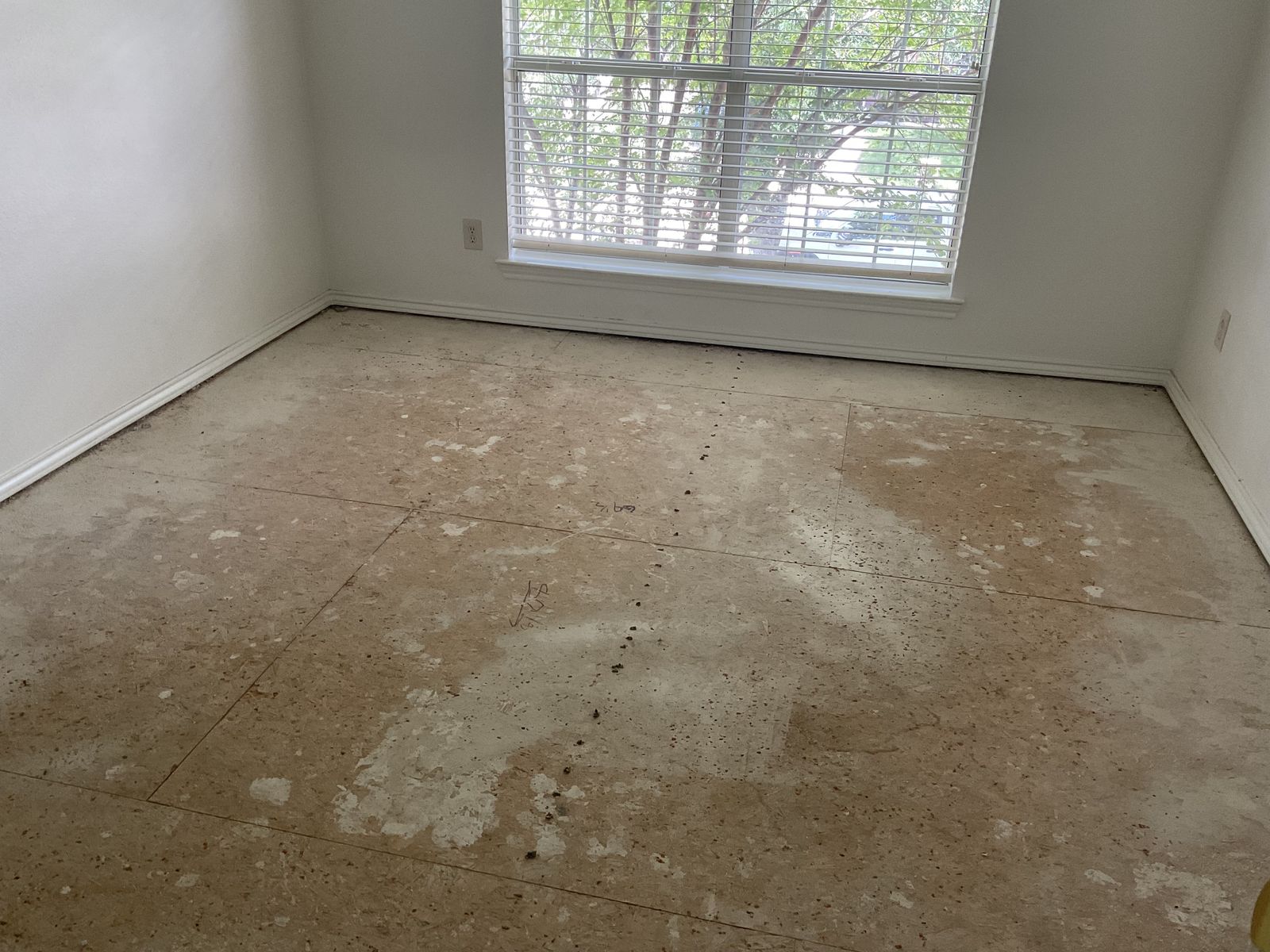 Before: stained carpet
