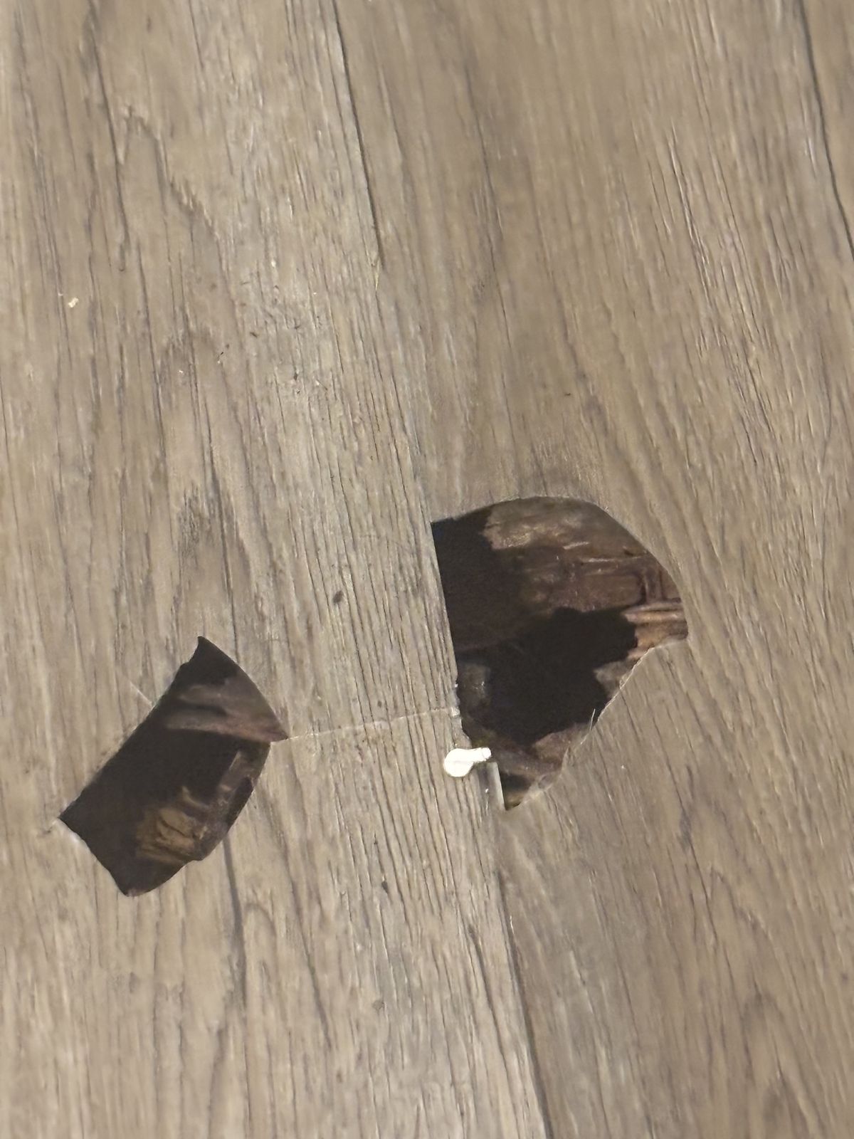 Damaged flooring before repair