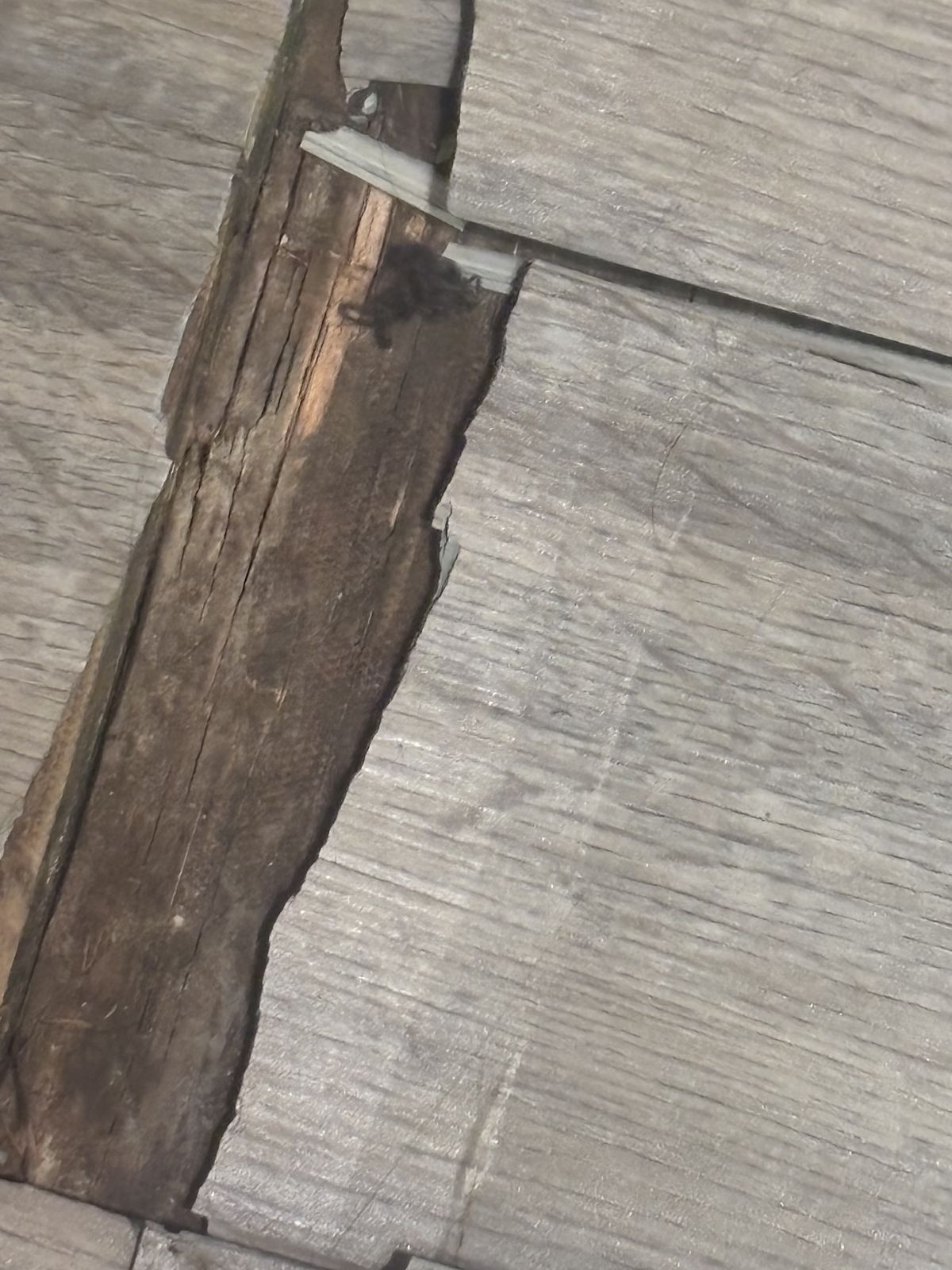 Damaged flooring before repair